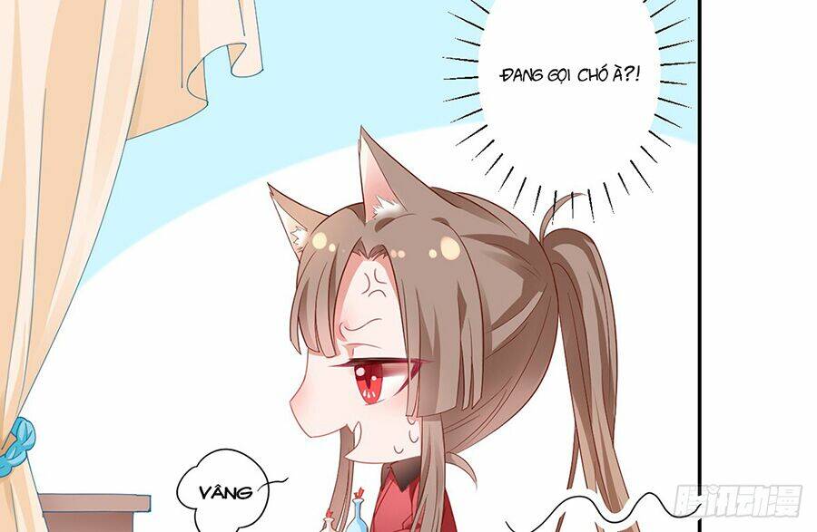 Hoàng Phi 9000 Tuổi: Chapter 6