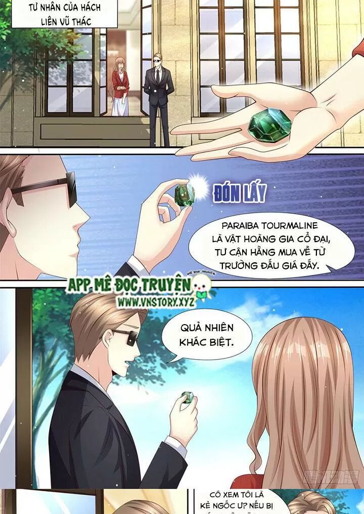 Cưng Chiều Vợ Yêu: Chapter 293: Không đội trời chung