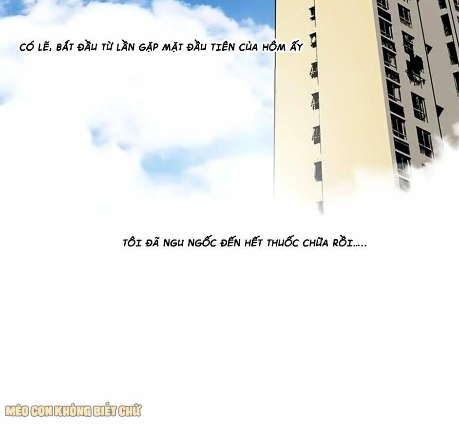 Không Có Ssr Làm Sao Để Yêu: Chapter 12