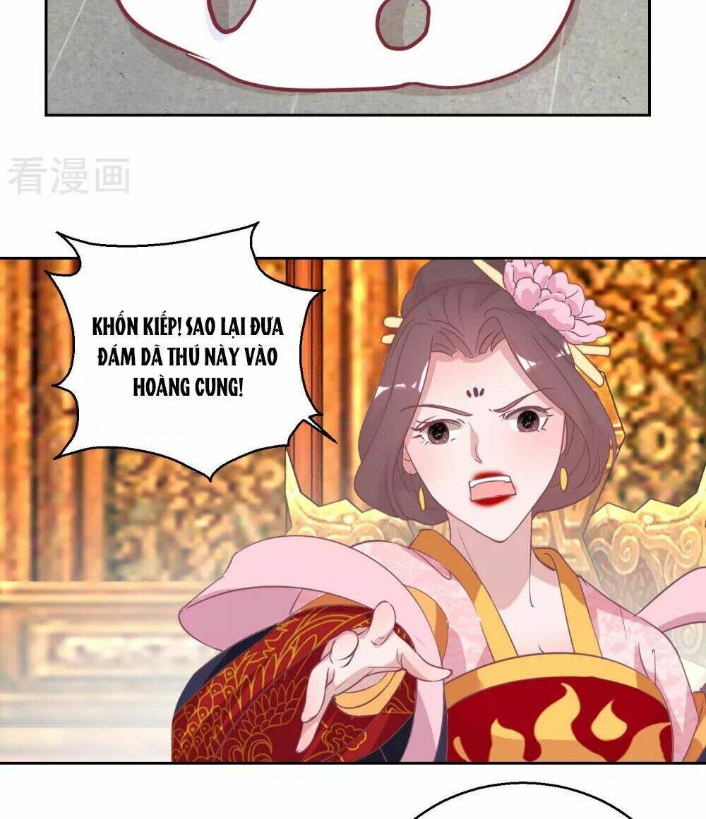 Hoàng Thượng Ở Trên, Thần Ở Dưới: Chapter 67