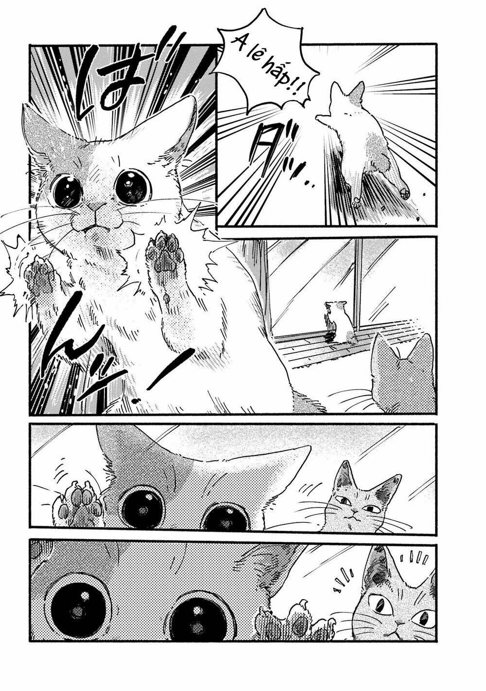 Nekodamari: Chapter 6