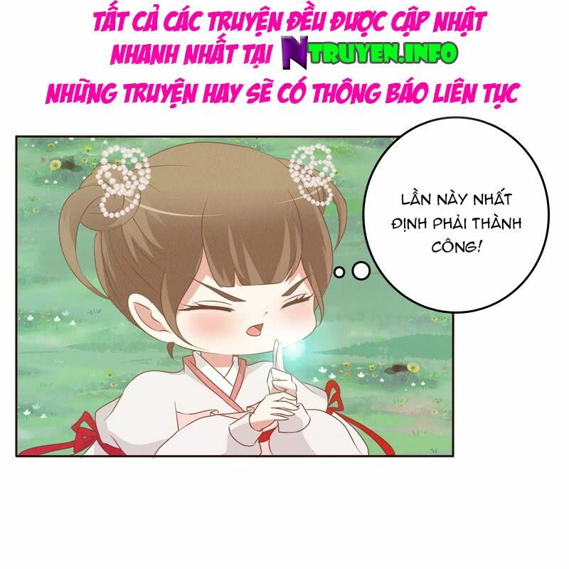 Thông Linh Phi: Chapter 168.5