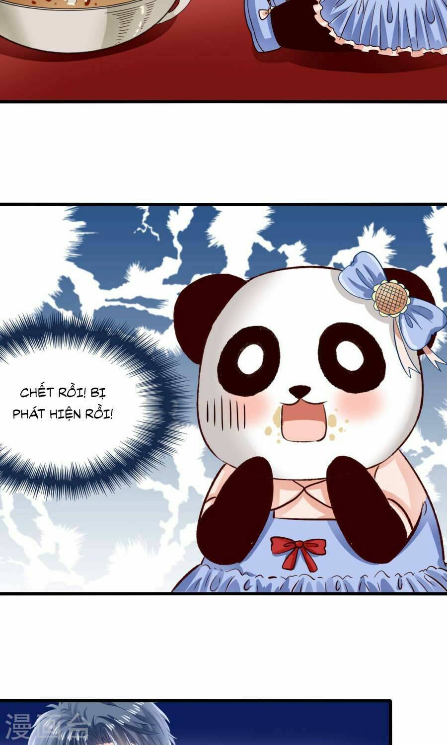 Tôi Bị Gấu Trúc Nhìn Trúng Rồi: Chapter 8