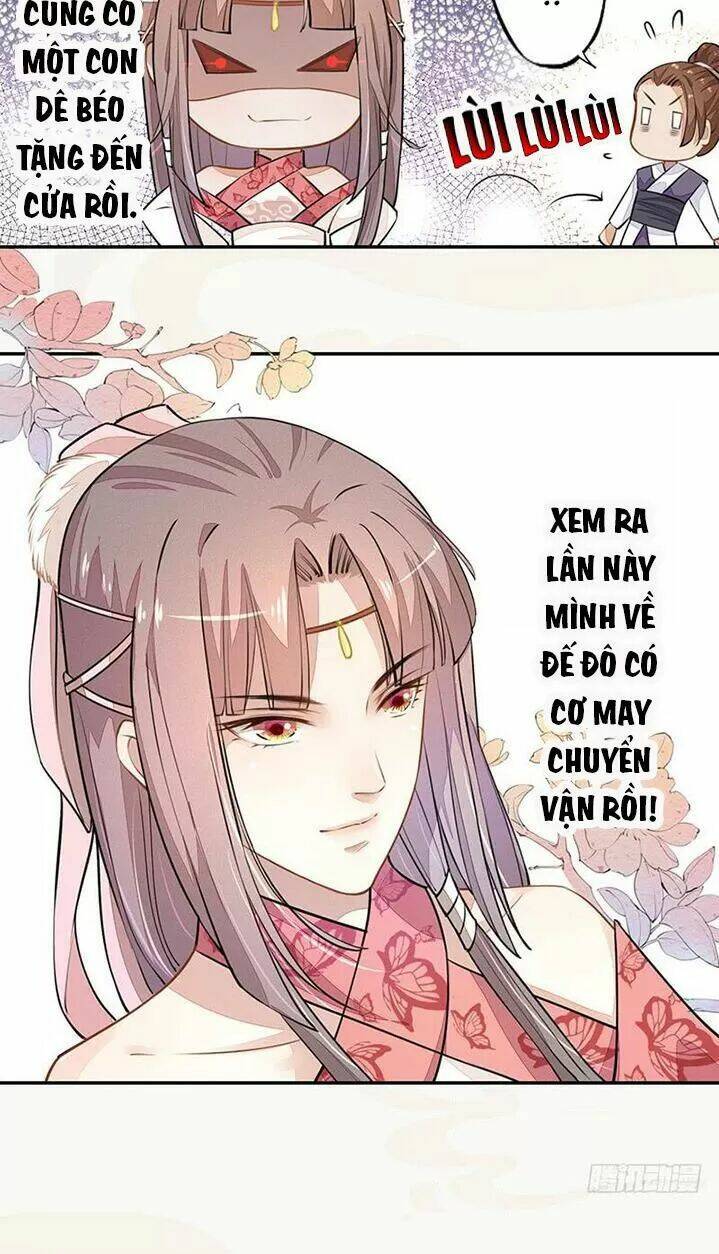 Tuyệt Thế Luyện Đan Sư: Chapter 36