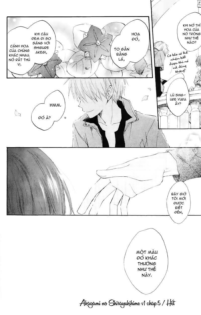 Cô Người Hầu Tóc Đỏ: Chapter 5