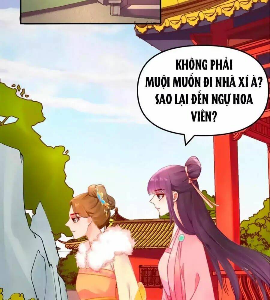 Hoạn Phi Hoàn Triều: Chapter 46