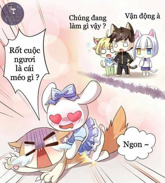 Dưới Móng Vuốt Mèo: Chapter 5