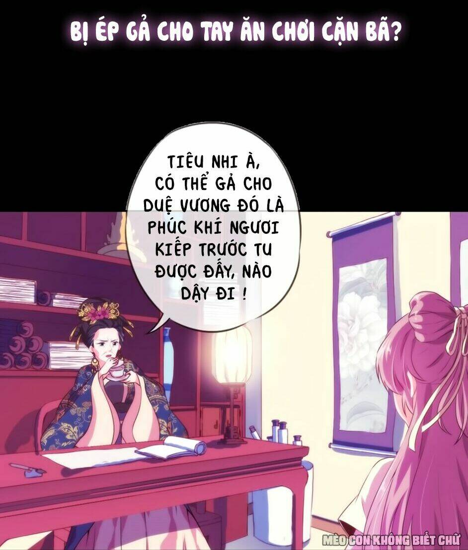Ồ, Sủng Phi Đại Nhân Của Ta: Chapter 0