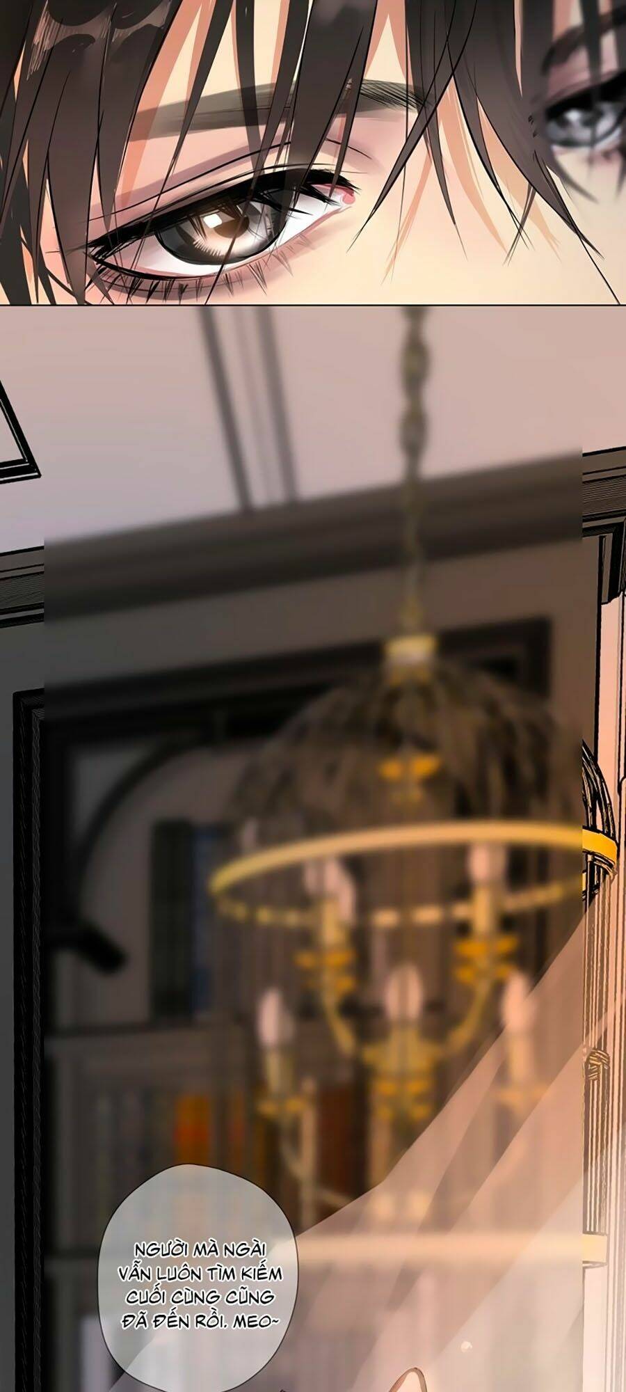 Quang Chi Vũ: Chapter 2.2