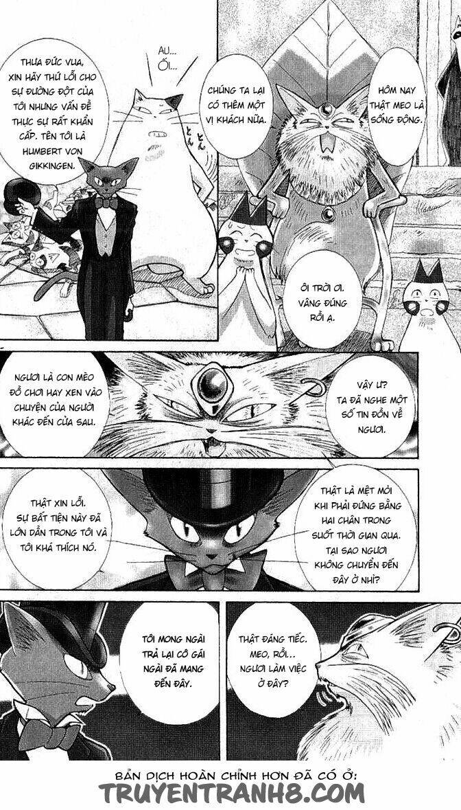 Lời Thì Thầm Từ Trái Tim: Chapter 8