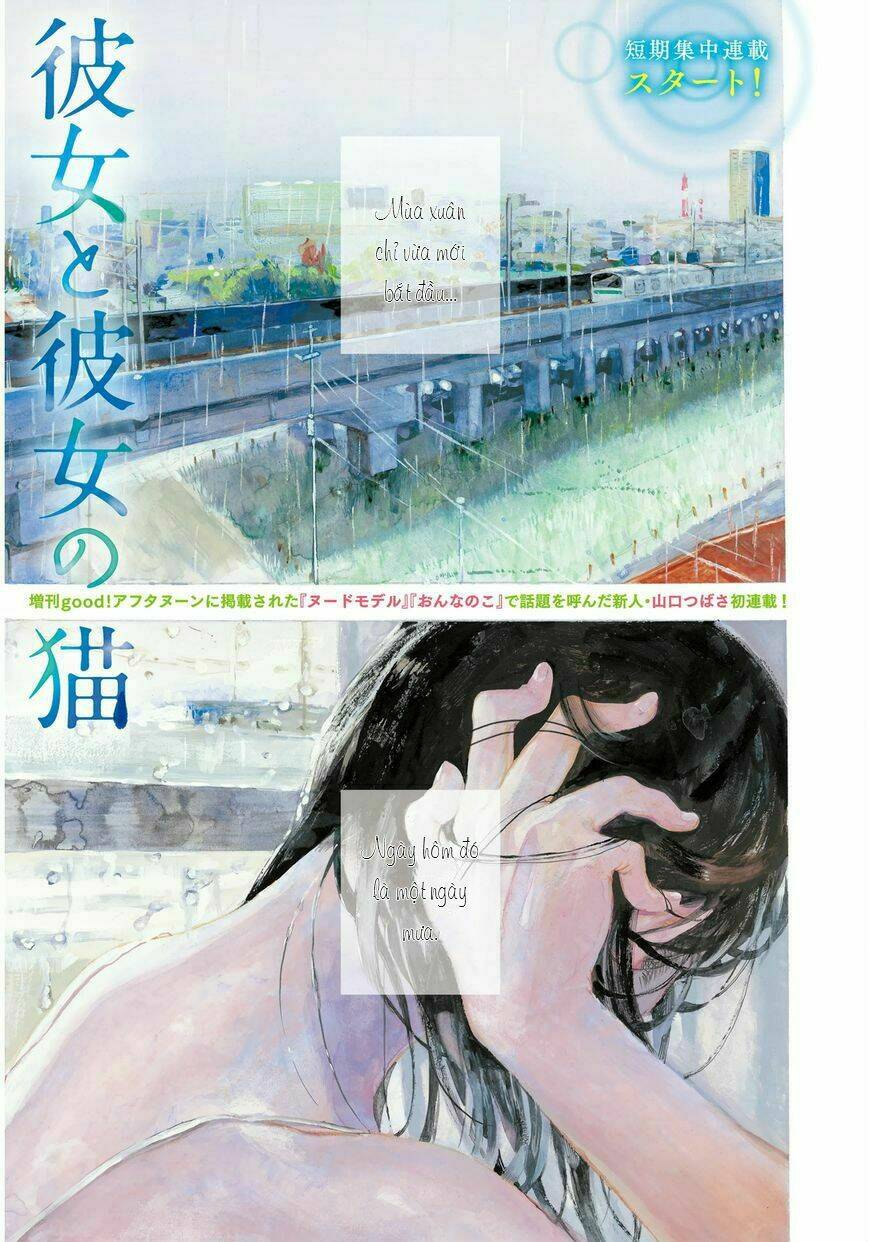 Chú Mèo Và Cô Chủ: Chapter 1