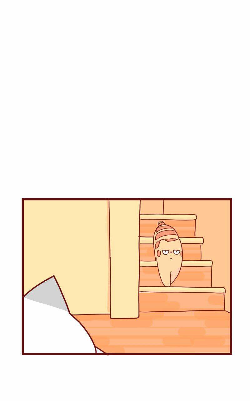 Saphie: Chú mèo một mắt: Chapter 10