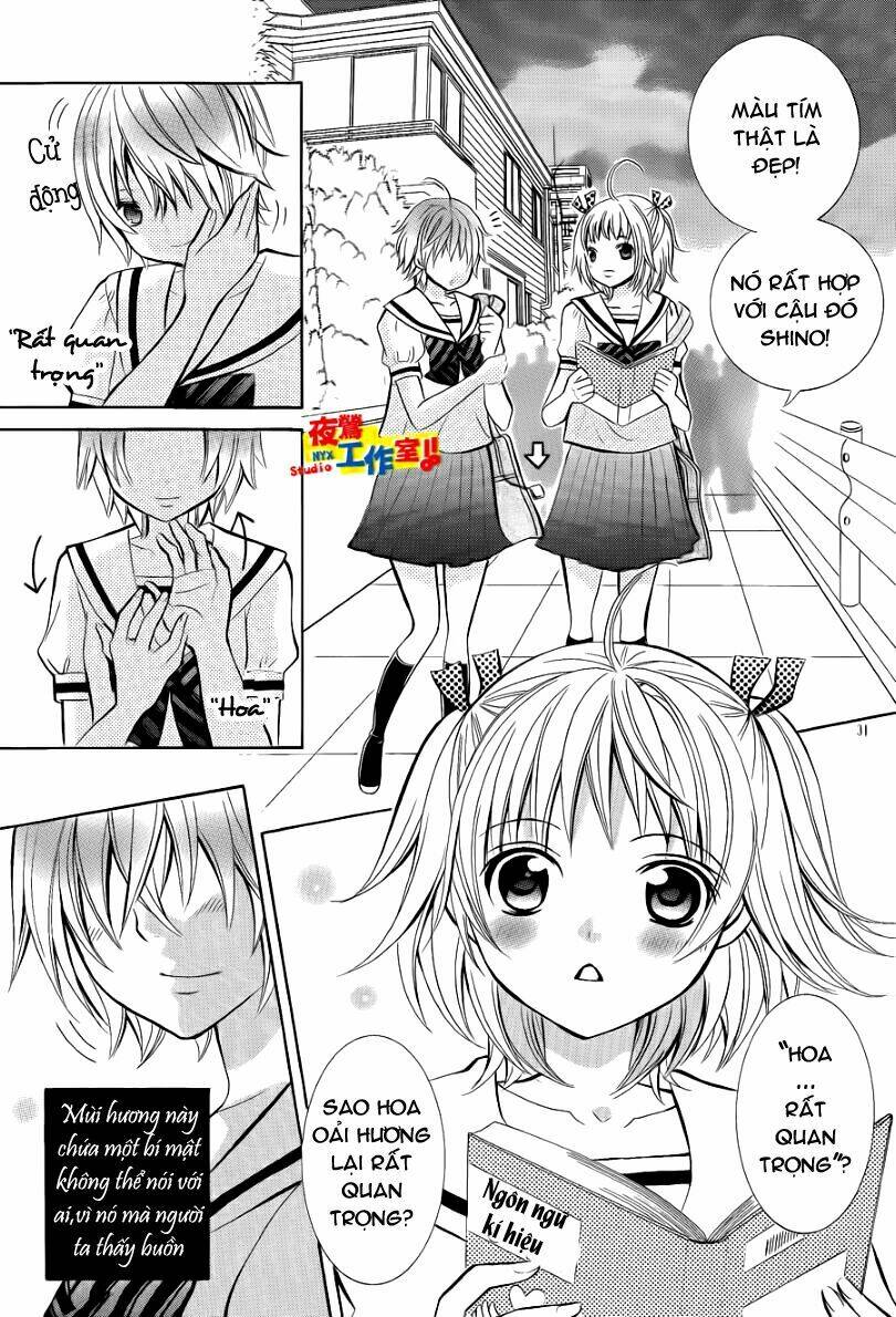 Cuộc Gặp Gỡ Diệu Kỳ: Chapter 3