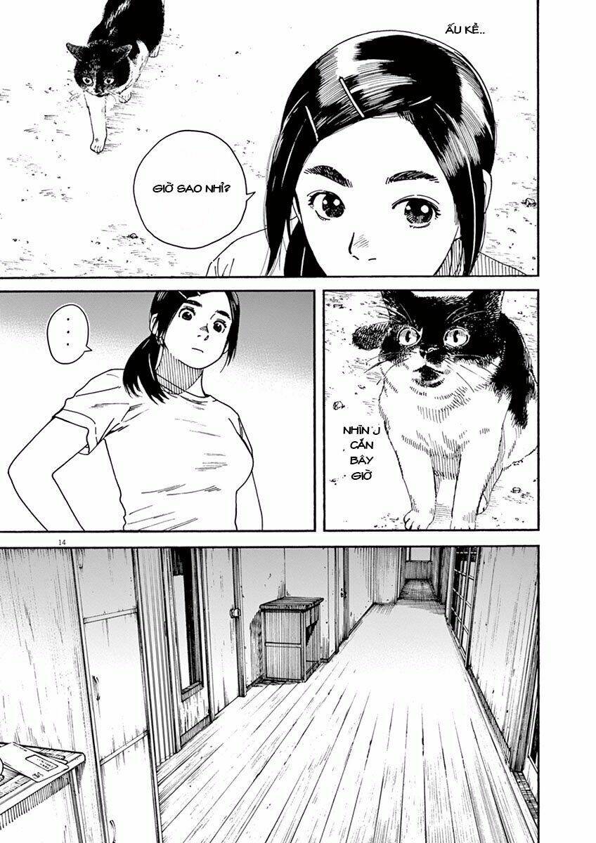 Neko No Otera No Chion-San: Chapter 2