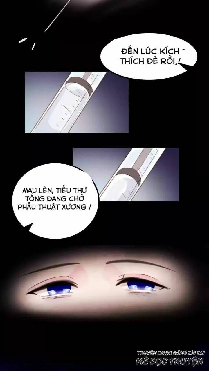 Bản Hợp Đồng Của Tổng Tài Lạnh Lùng: Chapter 15