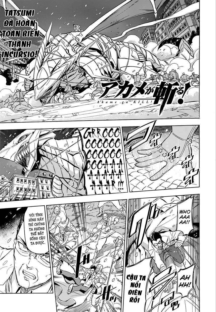 Akame Ga Kiru: Chapter 76