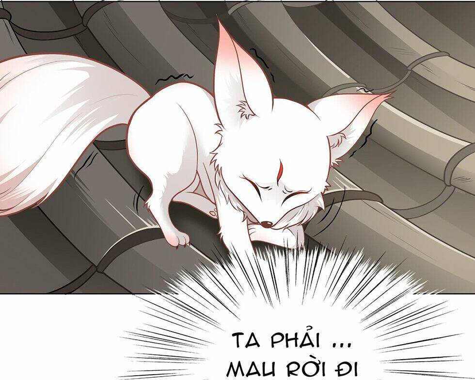Vương Phi Thật Uy Vũ: Chapter 3.1