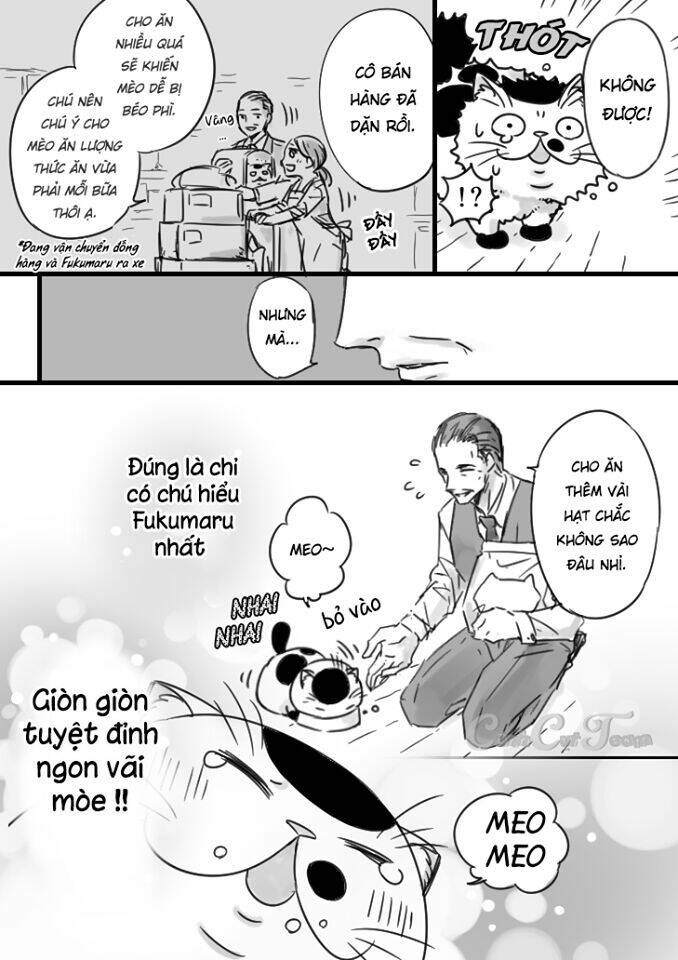 Ông Chú Và Con Mèo Mặt Bựa: Chapter 5
