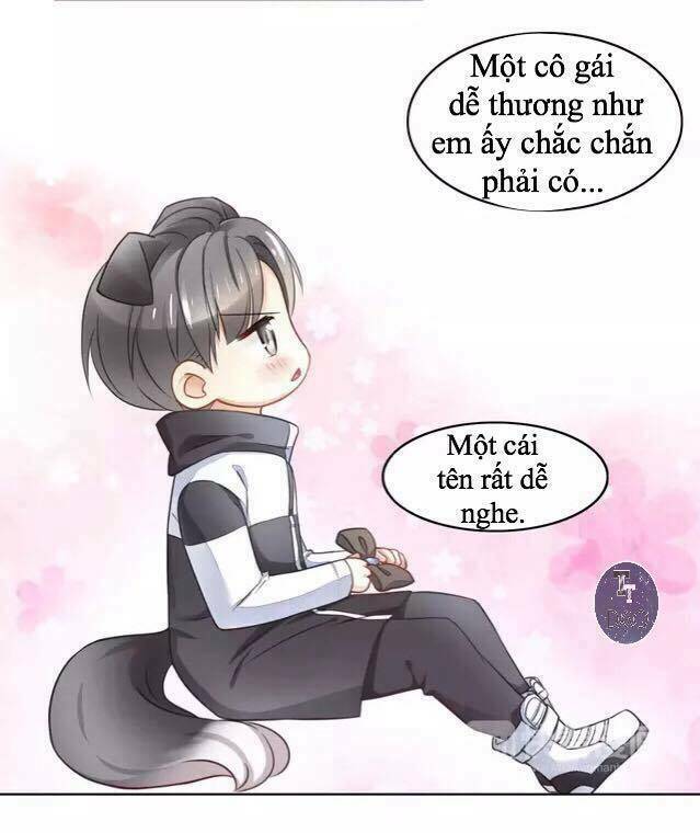 Dưới Móng Vuốt Mèo: Chapter 17