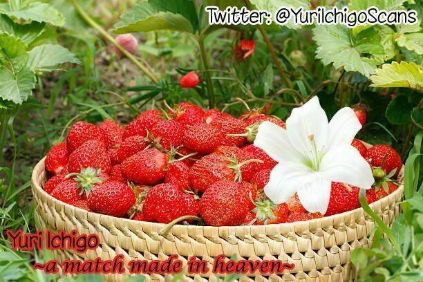 Hino-San No Baka: Chapter 4