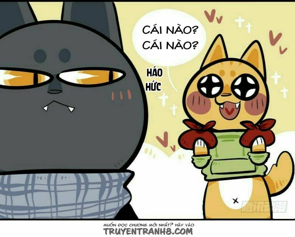 Đời Không Như Mình Tưởng: Chapter 14