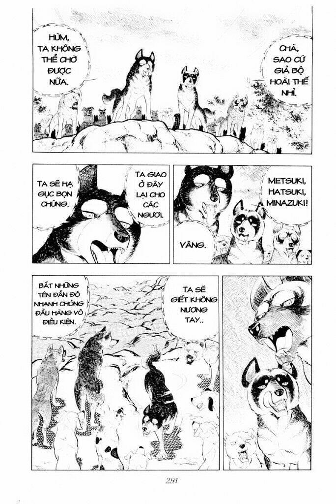 Chú Chó Có Nghĩa - Ginga Nagareboshi Gin: Chapter 30.2