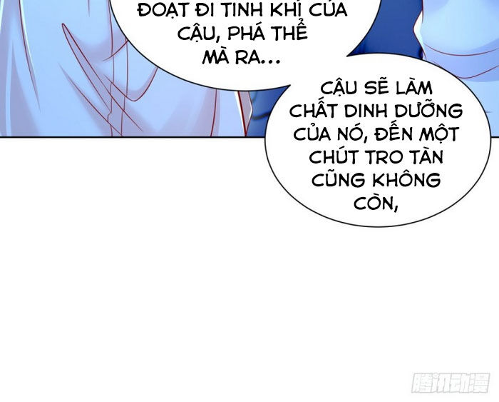 Trọng Sinh Chi Thần Đế Trở Về: Chapter 22