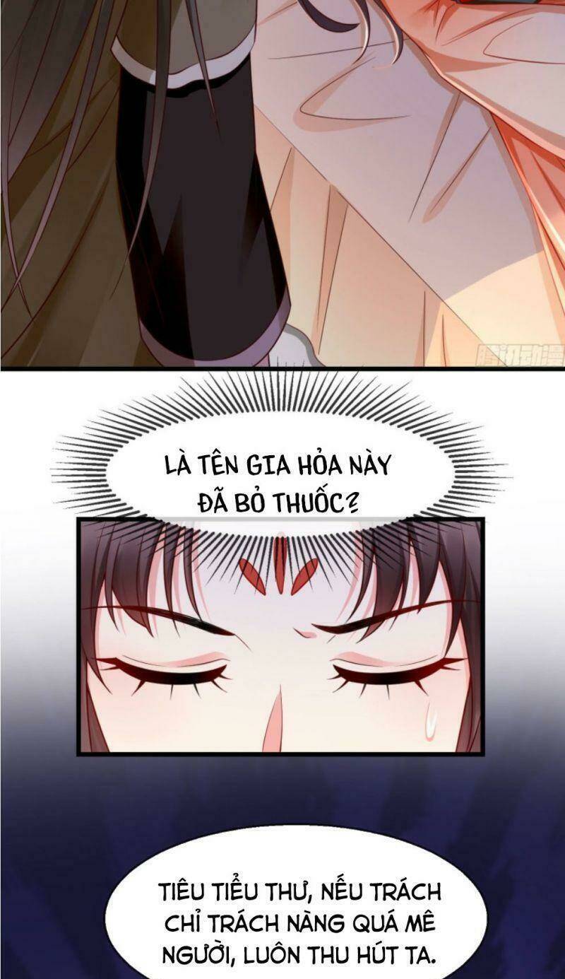 Vương Phi Là Đoá Bạch Liên Hoa: Chapter 24