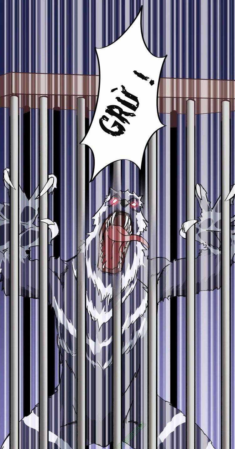 Ta Luyện Giả Kim Trong Thời Đại Tu Tiên: Chapter 47