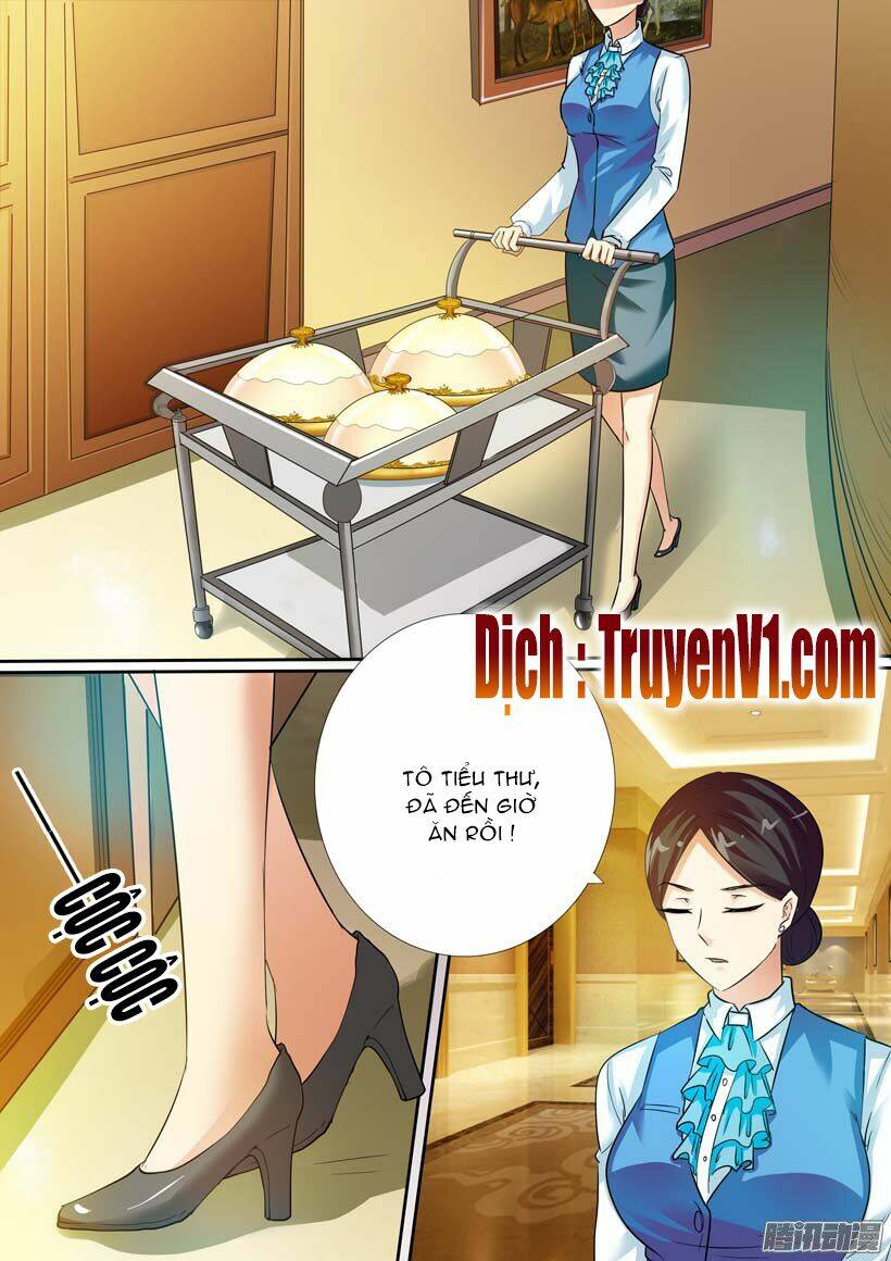 Hào Môn Tiểu Lão Bà: Chapter 10