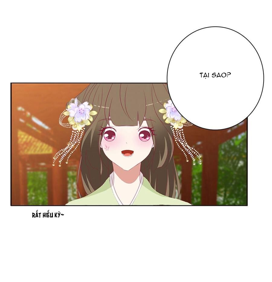 Thông Linh Phi: Chapter 553