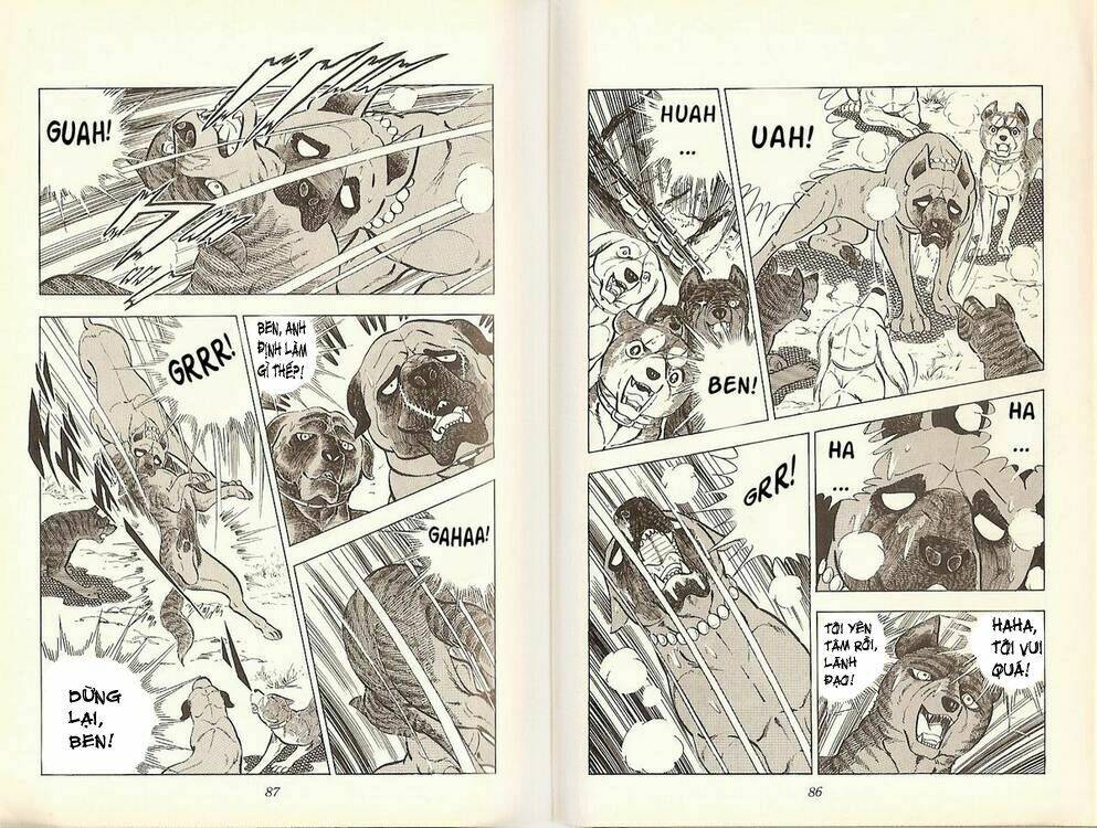 Chú Chó Có Nghĩa - Ginga Nagareboshi Gin: Chapter 19