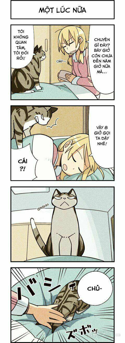 We Are Cat: Chapter 7