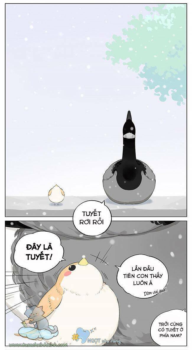 Chim Sẻ Gọi Ngỗng Trời: Chapter 5