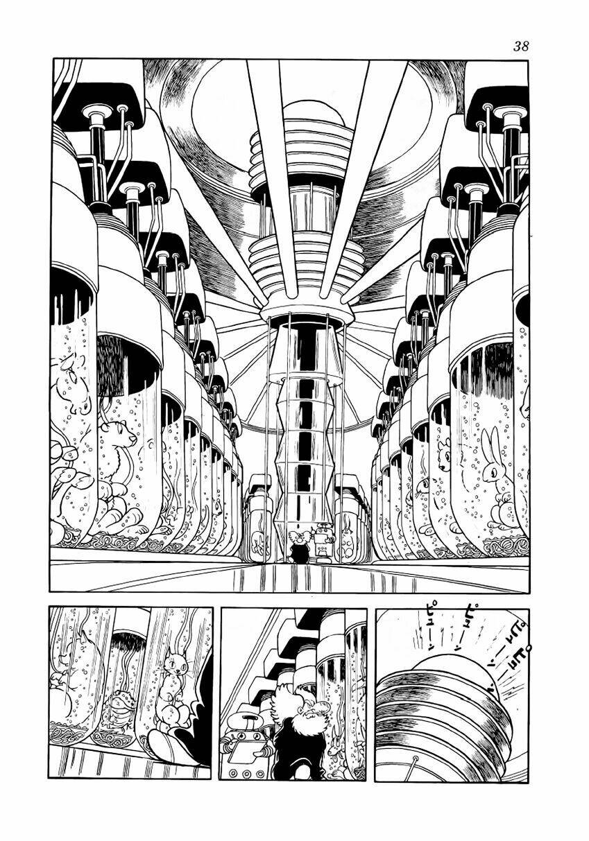 Chim Lửa: Chapter 19