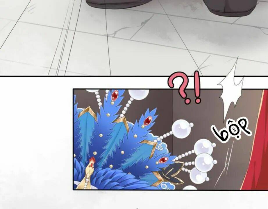 Tước Kiều Tiên: Chapter 1.1