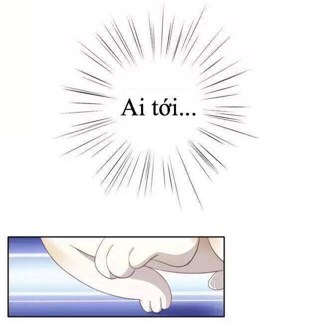 Dưới Móng Vuốt Mèo: Chapter 14