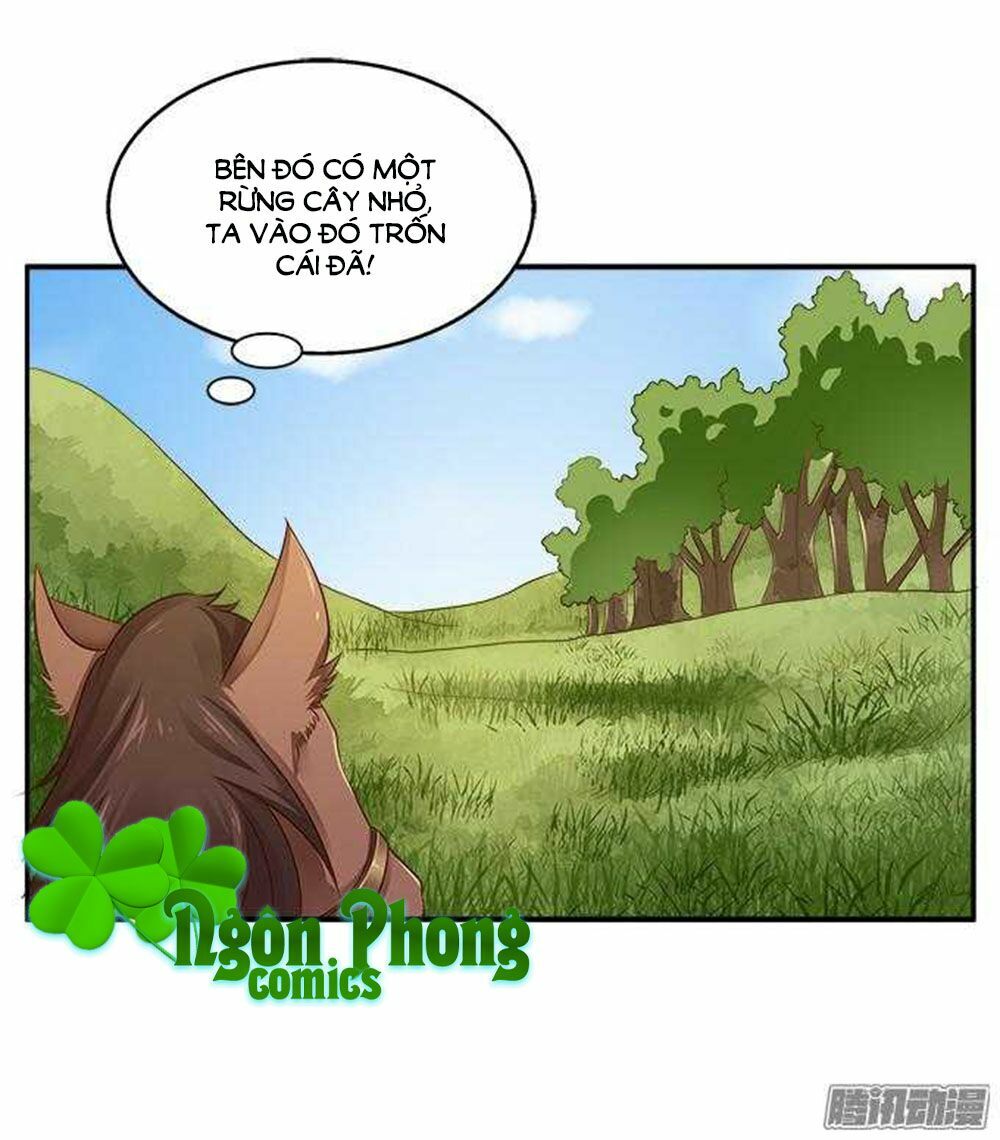 Thịnh Thế An Nhiên: Chapter 1