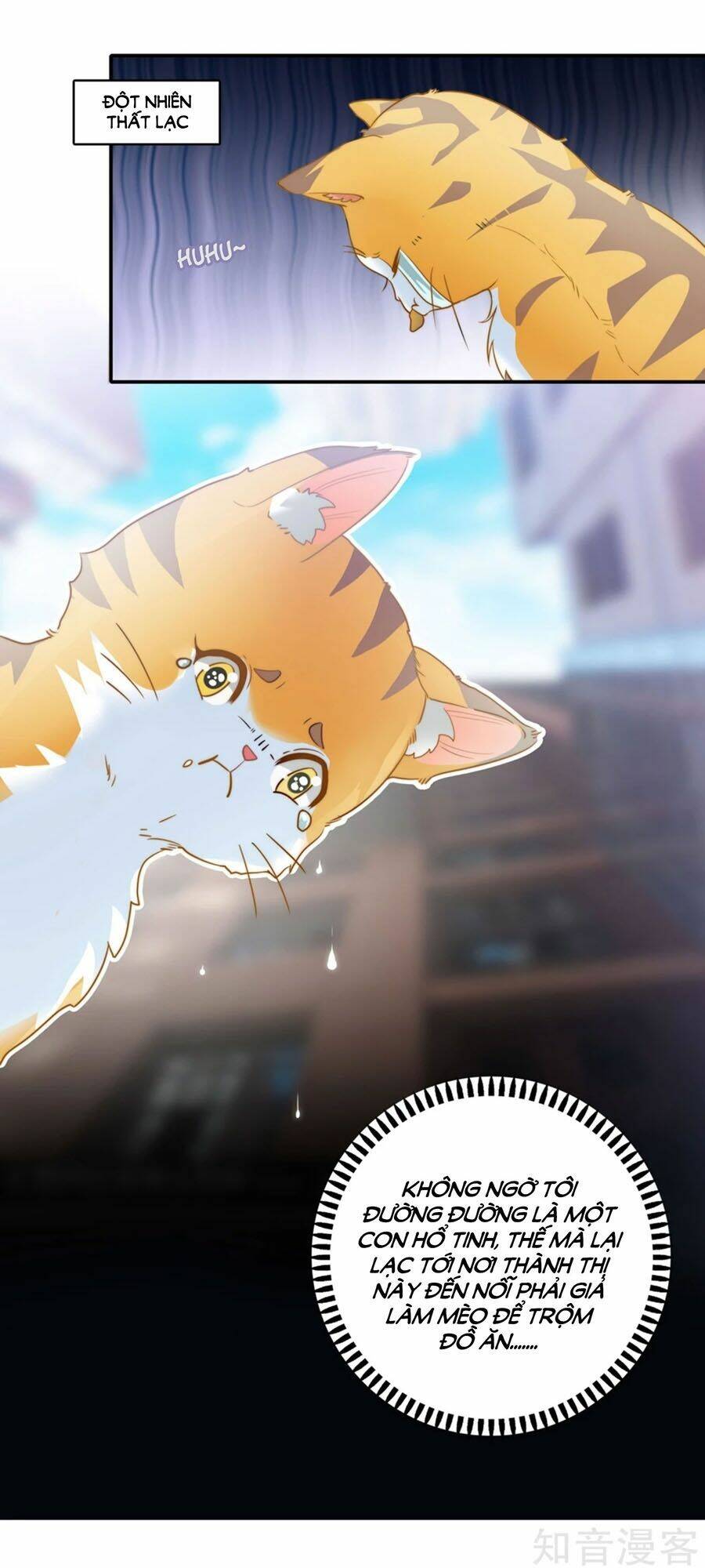 Hẹn Hò Siêu Tốc: Chapter 1