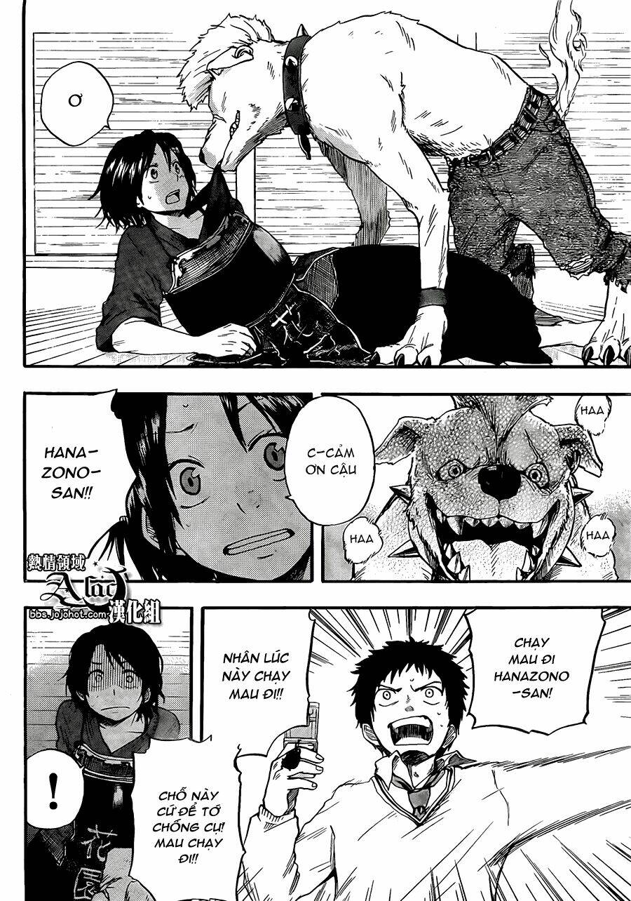 Dragon Collection: Chapter 4