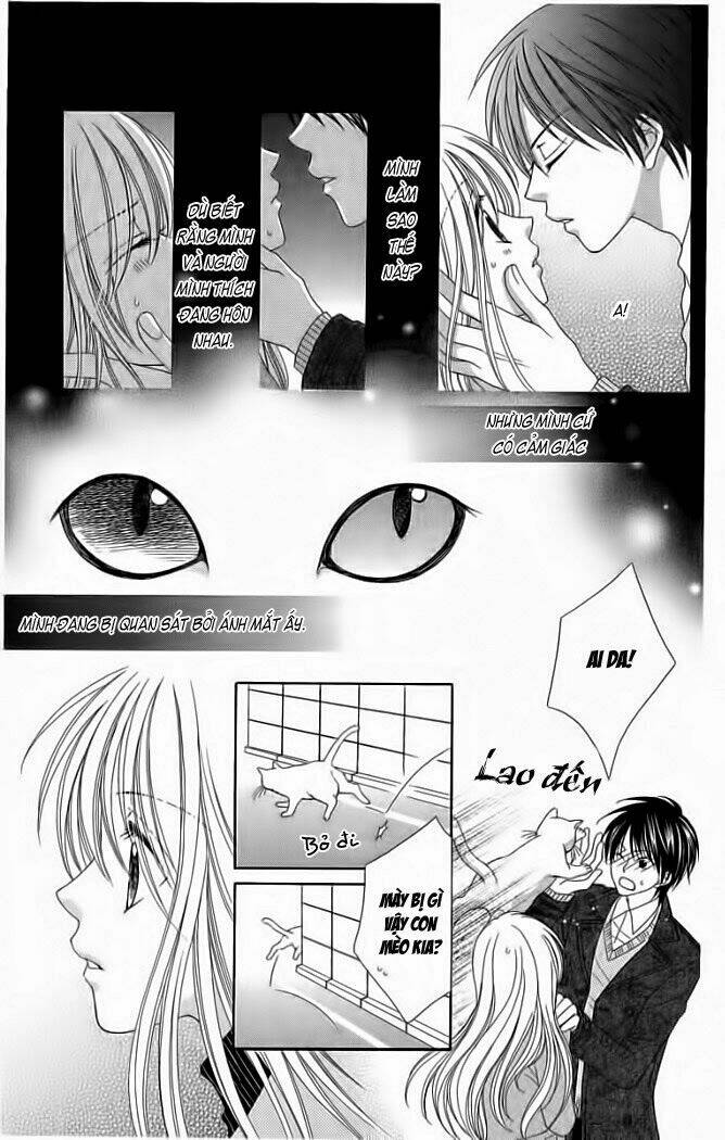 My Dear Cat: Chapter 1