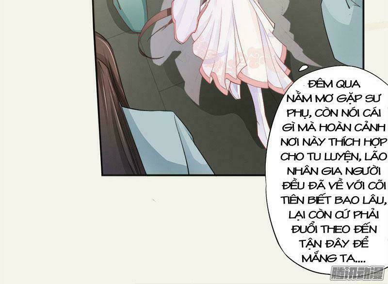 Tuyệt Thế Luyện Đan Sư: Chapter 5