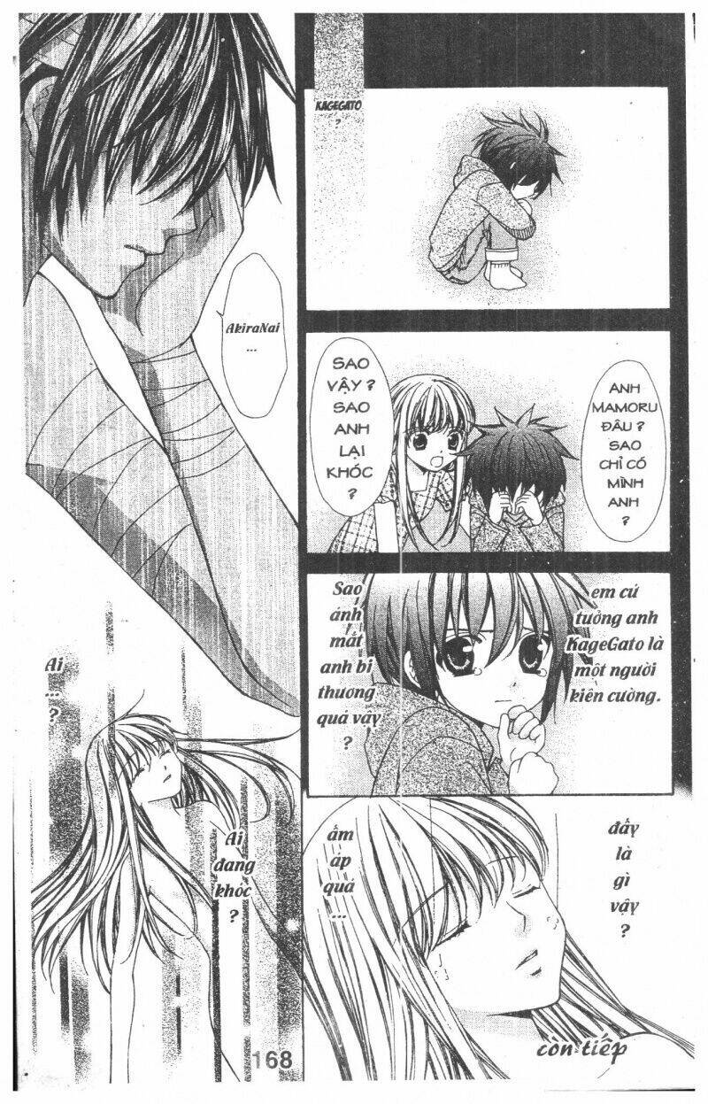 Trái Tim Kim Cương: Chapter 1