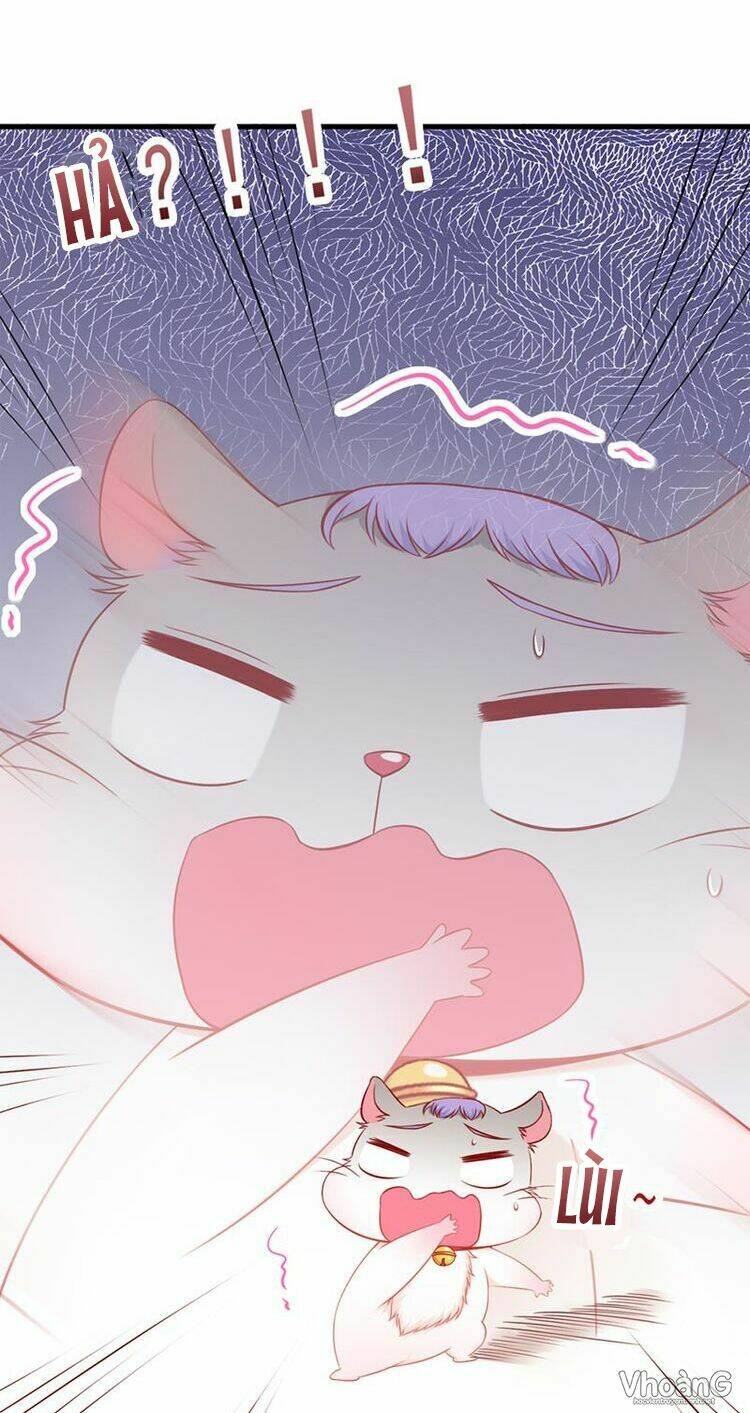 Kế Ước Ngọt Sủng:quốc Dân Lão Công Đích Tiểu Chiếm Giữ Thử: Chapter 3