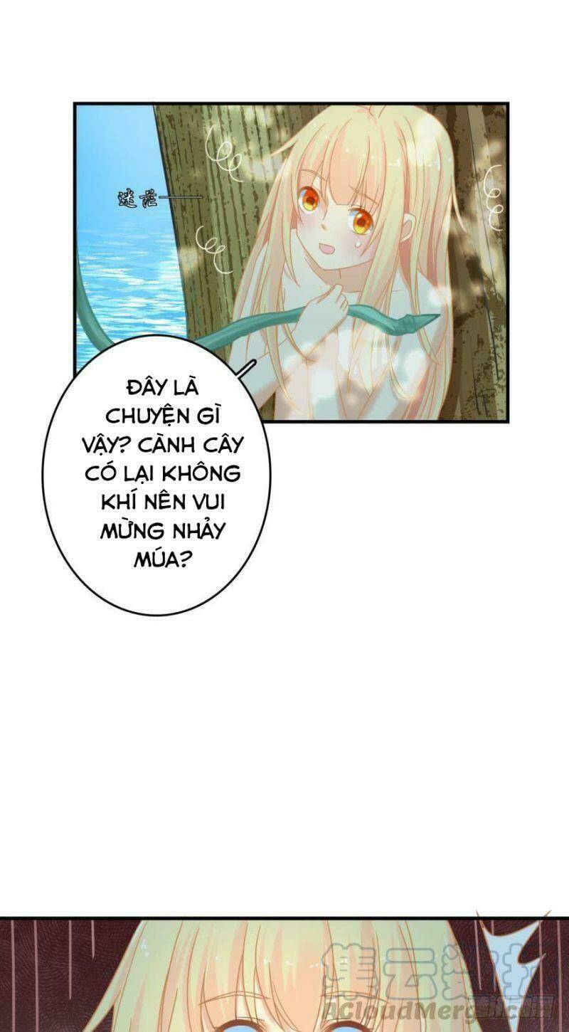 Nhân Ngư Học Trưởng, Đừng Ôm Ta!: Chapter 71