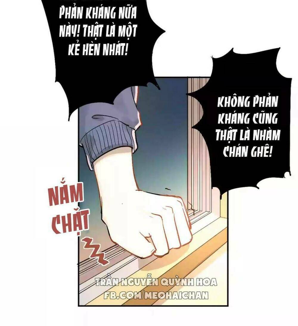 Đầu Gấu Biết Yêu: Chapter 1