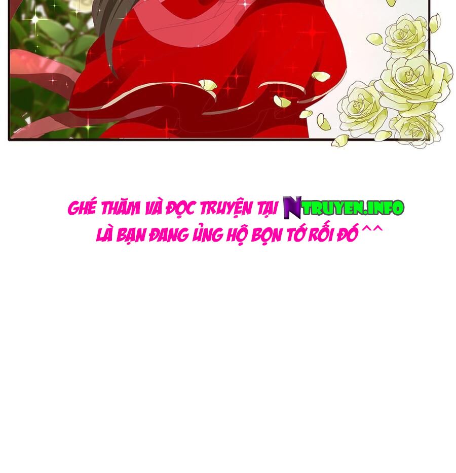 Thông Linh Phi: Chapter 556