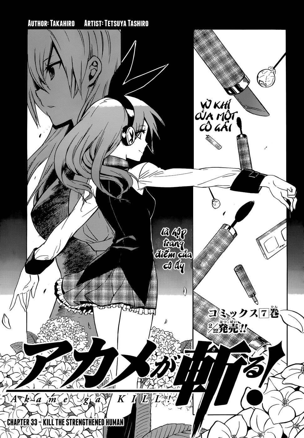 Akame Ga Kiru: Chapter 33