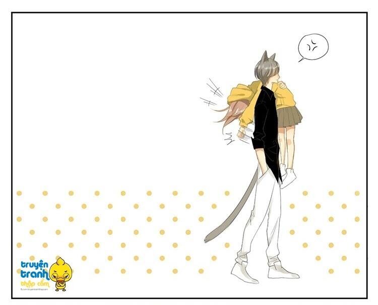 Cứu mạng ! Loài mèo thống trị thế giới rồi !: Chapter 23