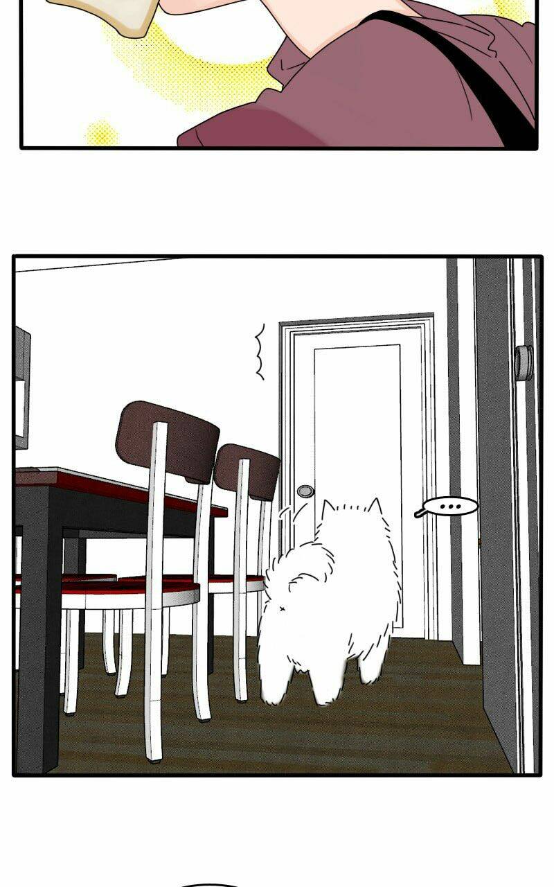 Not So Shoujo Love Story: Chapter 16